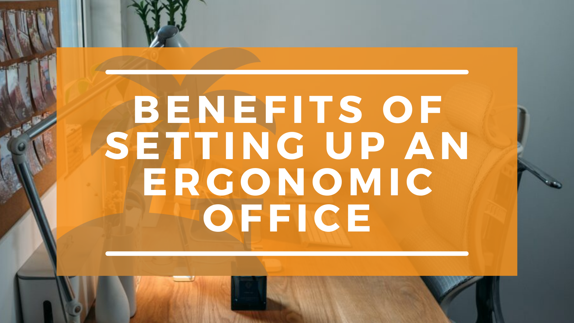 Why You Should Set Up an Ergonomic Office at Home