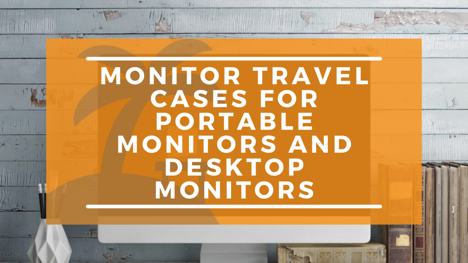The BEST Travel Cases for your Monitor