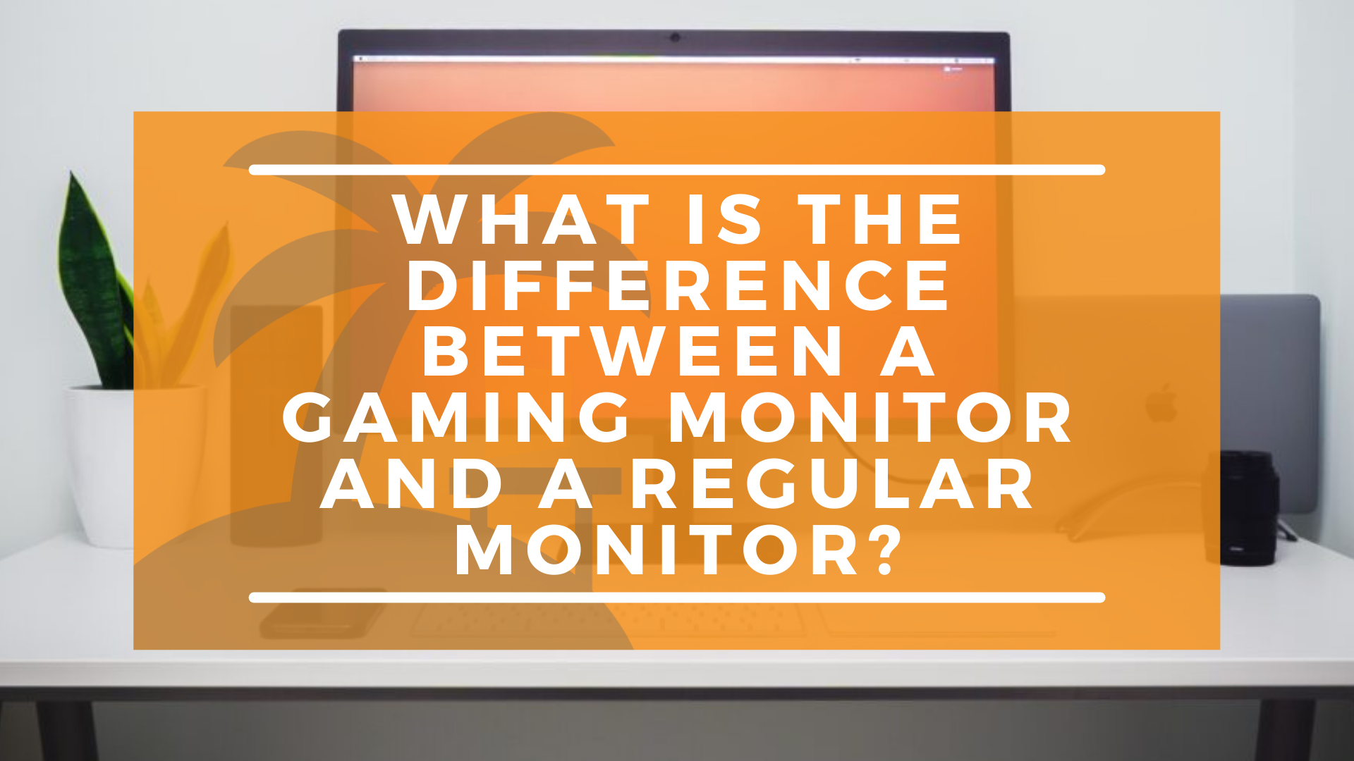 Gaming Monitor vs Regular Monitor Here Are the Differences