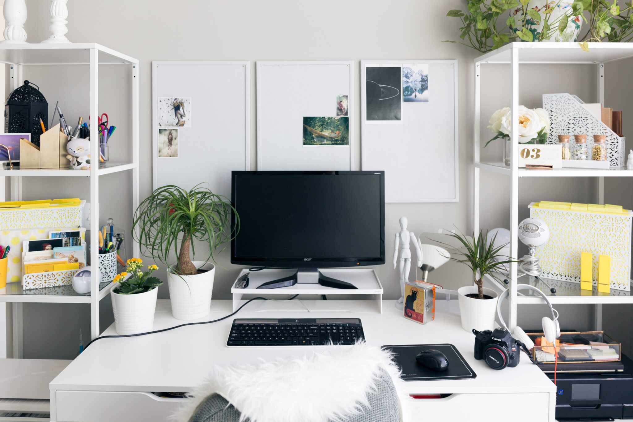 TOP 7 Signs Your Monitor is Dying