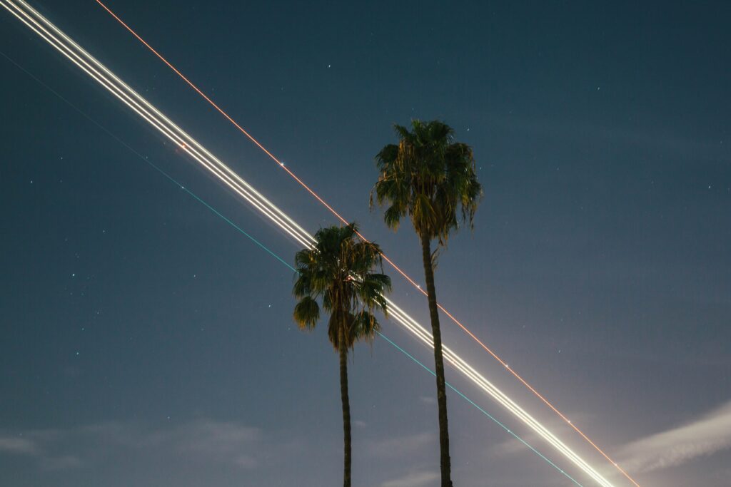 Lights that are streaking across the night sky behind palm trees